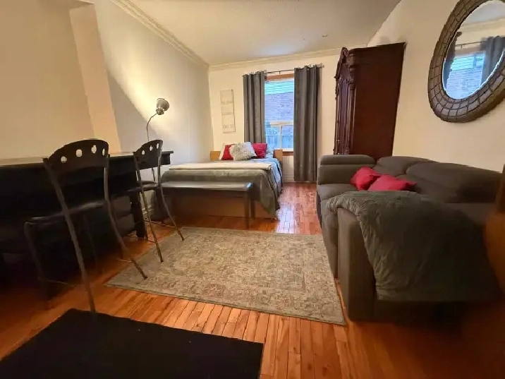 OPG or Single Professional Large Room with a Kitcheneete