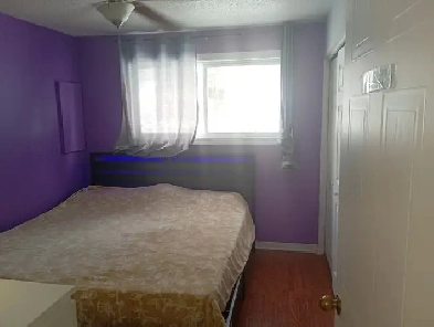 CHAMBRE À LOUER 515$