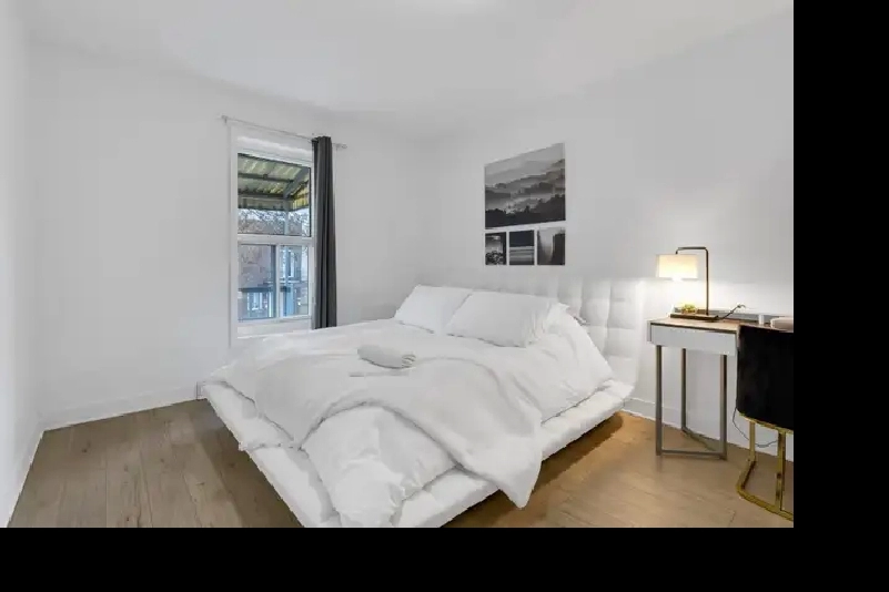 Bright Furnished Room - Downtown / Metro-$900-Short Term/Month