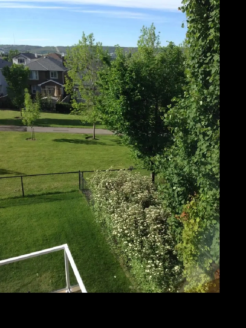 ️ Furnished Room with Mountain Views – Tuscany, NW Calgary