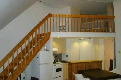 Magnifique grand loft 3½ Vieux-Port meublé Juillet