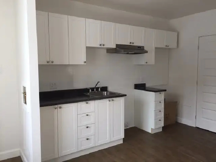 Très beau 3 1/2 Rez de Chaussé, rue Boisseau Juillet