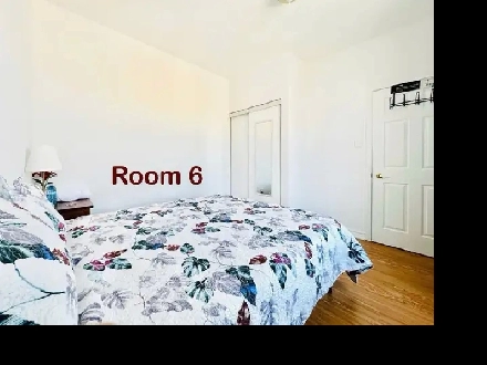 Toronto daily rent rooms