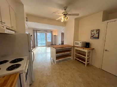 Villeray 2 1/2 style loft 500 pi.ca  près du Métro