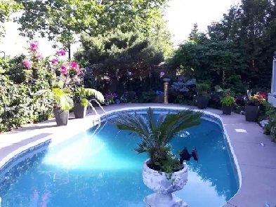 Private Room in Executive Home – Prime Location (Trafal/upper  m