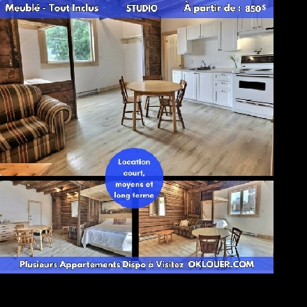 STUDIO MEUBLE-TOUT INCLUS EN CENTRE VILLE