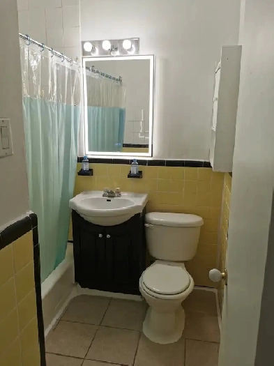 Big 4 1/2 apartment for rent Gote des Neiges