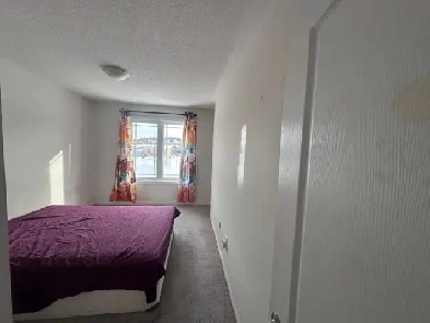 Large Room for rent (Barrie - Mapleview & Essa)