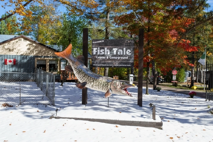 Your Choice – Your Dream!