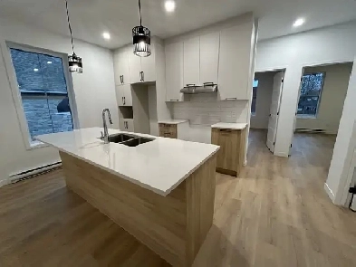 MAGNIFIQUE 5 1/2 - CONSTRUCTION 2023 - 2 STATIONNEMENT - TRIPLEX