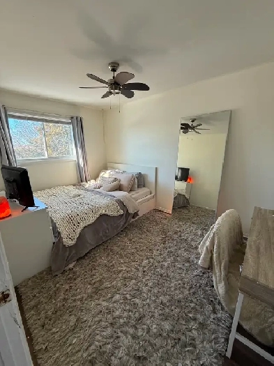 Roommate wanted for Awesome Student Home