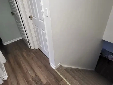 Roommate Wanted For House Sharing