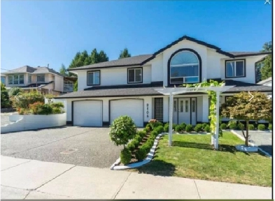 Two Bedroom Legal Walkout Basement Rent in Abbotsford