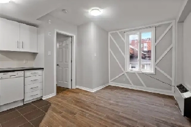 Beautiful renovated unit in Downtown Ottawa!