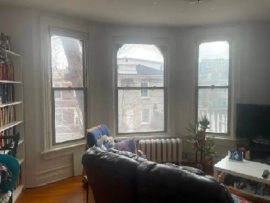 Large, bright One bedroom, Sydenham Ward, June 1