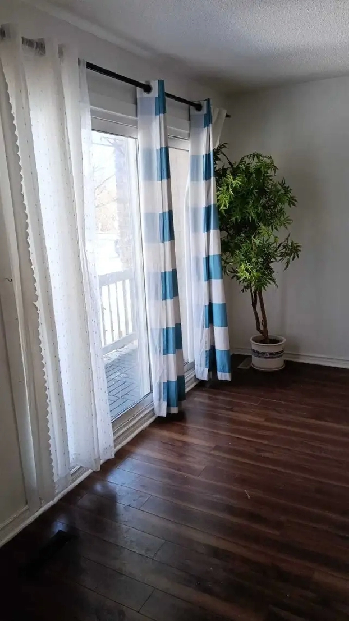 three separate room available for rent 799