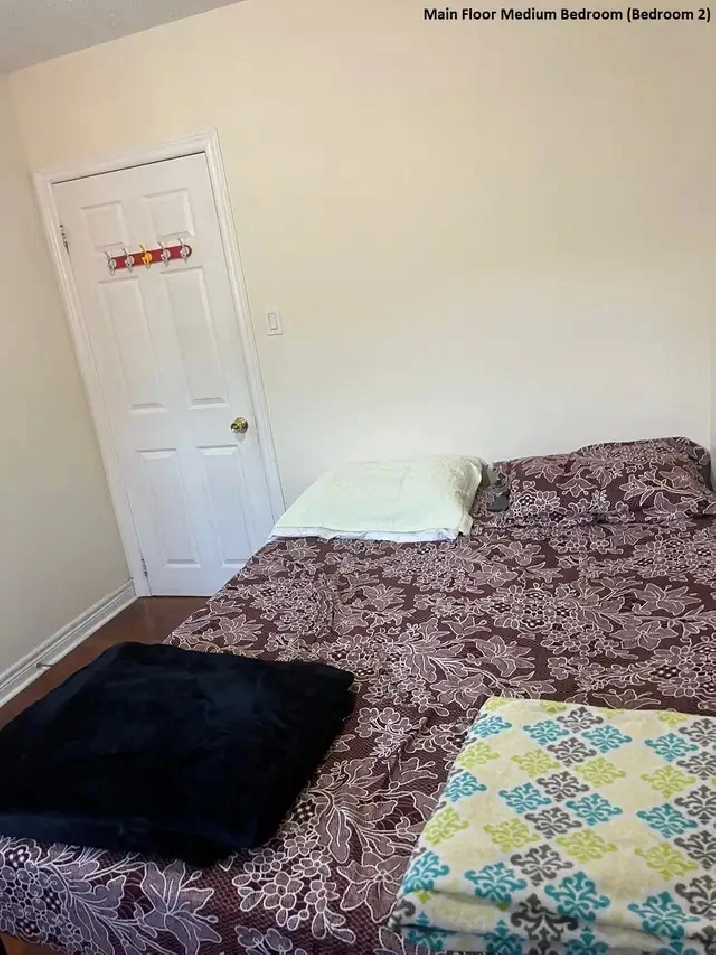 Main Floor Room near Centennial & UTSC
