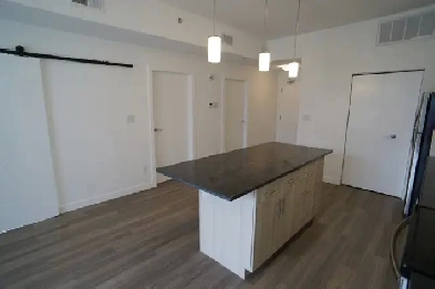 Beautiful 2 Bedroom Condo for rent in 247 River Ave