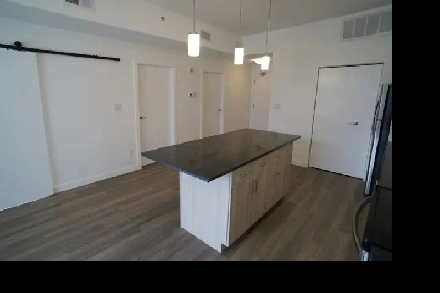 Beautiful 2 Bedroom Condo for rent in 247 River Ave