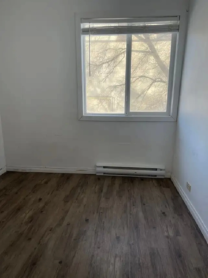 Room Near University For Rent