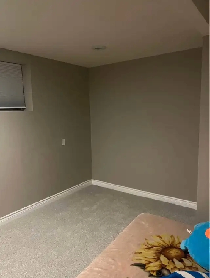 Basement for Rent in Taradale