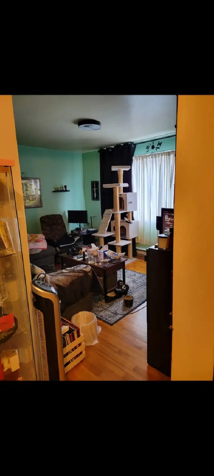 Logement 4 1/2 à louer à Pointe-aux-trembles