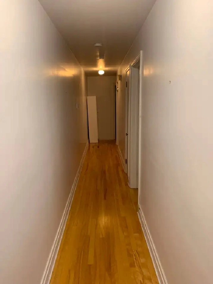 4 1/2  , quartier St- Sacrement, libre 1er mai