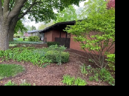 Two rooms, 1 block to Univ, ideal location, $800