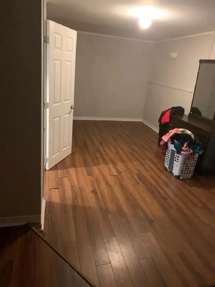 1 BD Basement  For  Rent