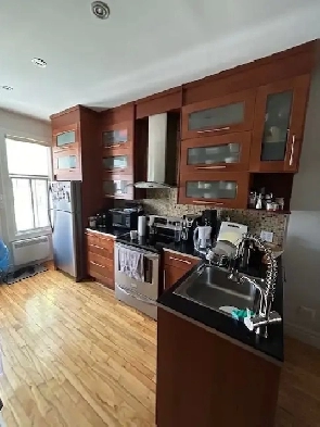 UN BEL APPARTEMENT STYLE LOFT DANS LE SECTEUR DE ROSEMONT.