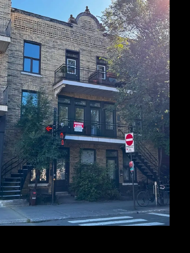 Libre - grand 4-1/2 ensoleillé (Plateau-métro Laurier)