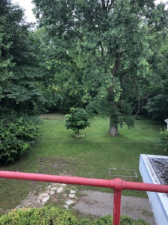 Renovated 2 beds apartment in a triplex, parking, laundry & deck