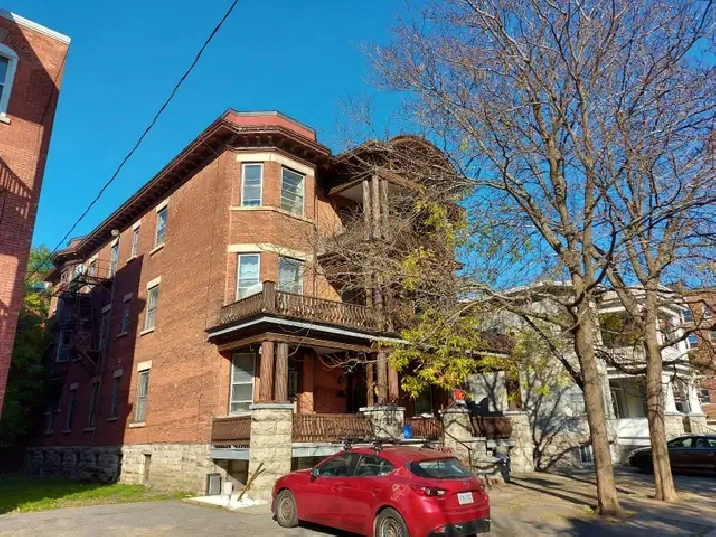 1 Bedroom Sandy Hill Apartment for Rent (255 Daly Ave)