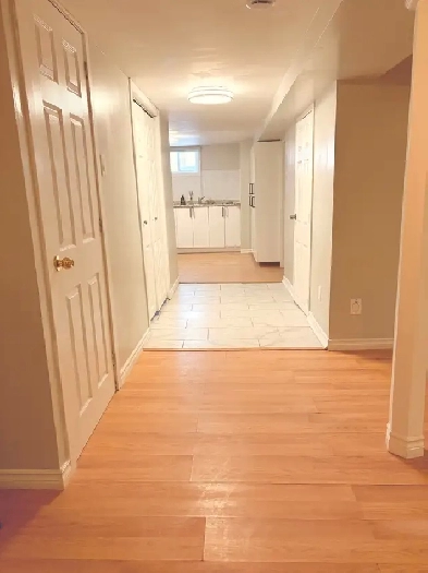 Spacious 1 Bdrm basement apartment