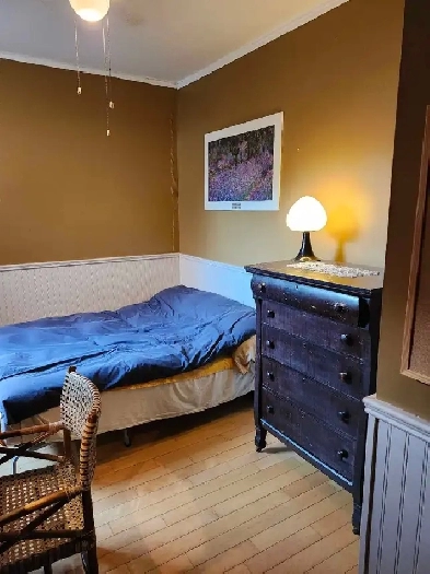 CHAMBRE À LOUER DANS UN GRAND 7 1/2 À NOTRE-DAME-DE-GRÂCE (NDG).