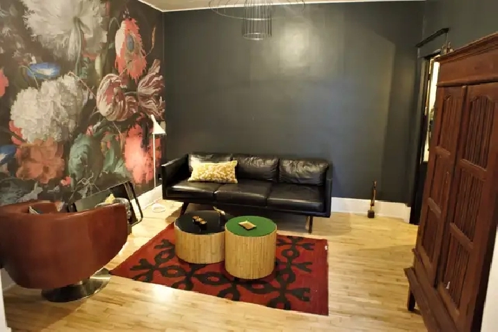 Somptueux 7 ½ rénové au cœur du Vieux-Rosemont