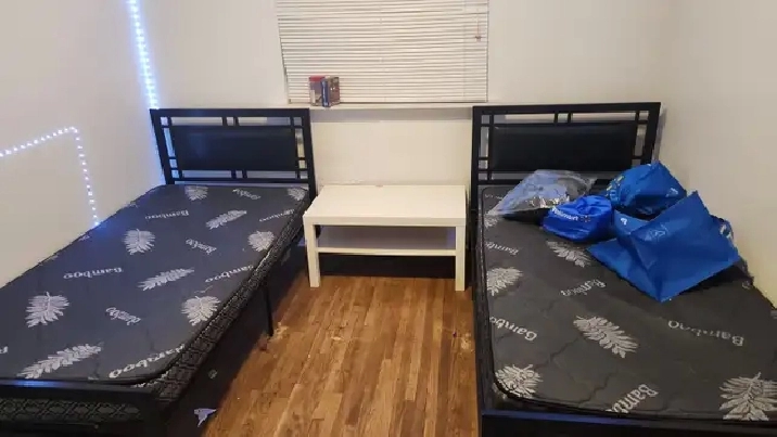 Room for Rent In Scarborough
