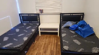 Room for Rent In Scarborough