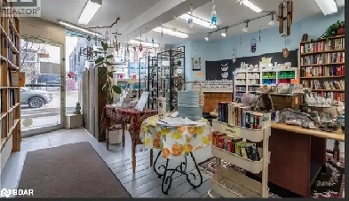 133 Dunlop St EBarrie ON L4M 1A6Canada