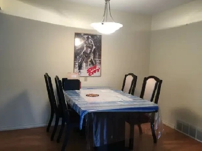 Spacious room for rent in University Area