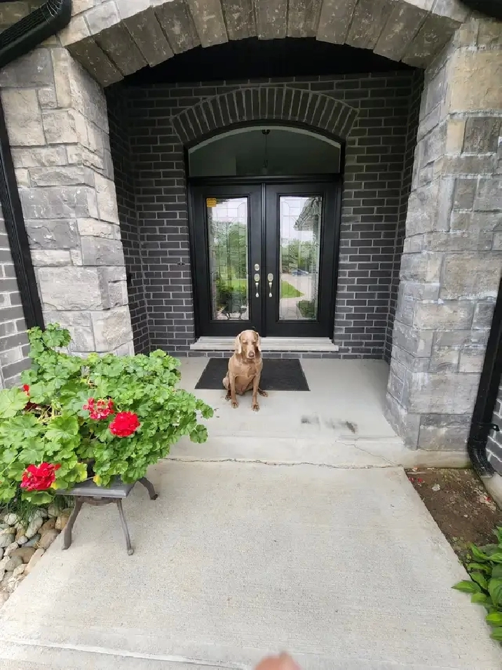 One large room for rent