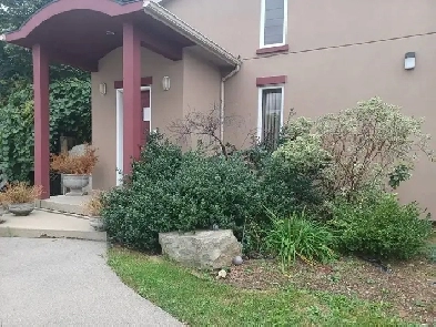 YOUR OFFICE / PRACTICE  in PRIME LOCATION from $399/mth