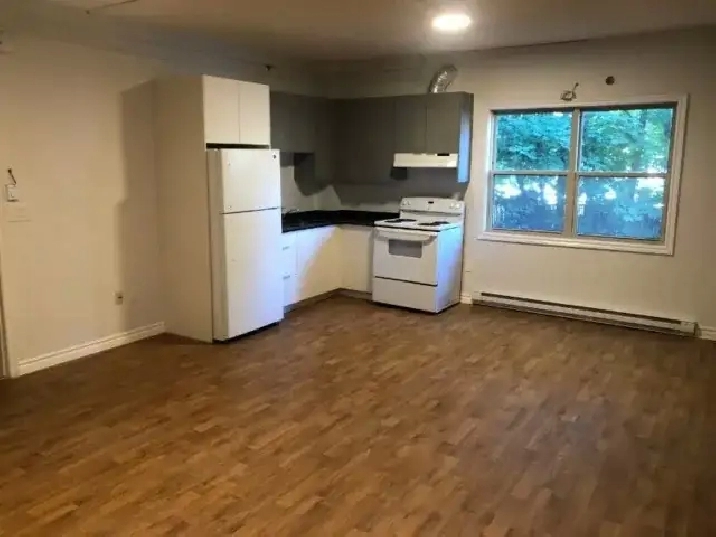 MODERN SOUTH END BACHELOR  GREEN ST-APRIL – ALL UTILITIES INC!