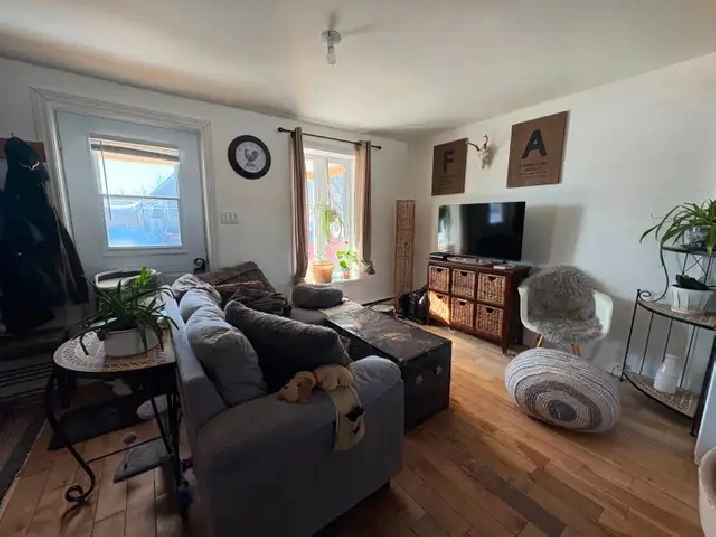 Lyster , 4 1/2 dispo 1er juin