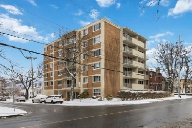 2 Bedroom Apartment South End