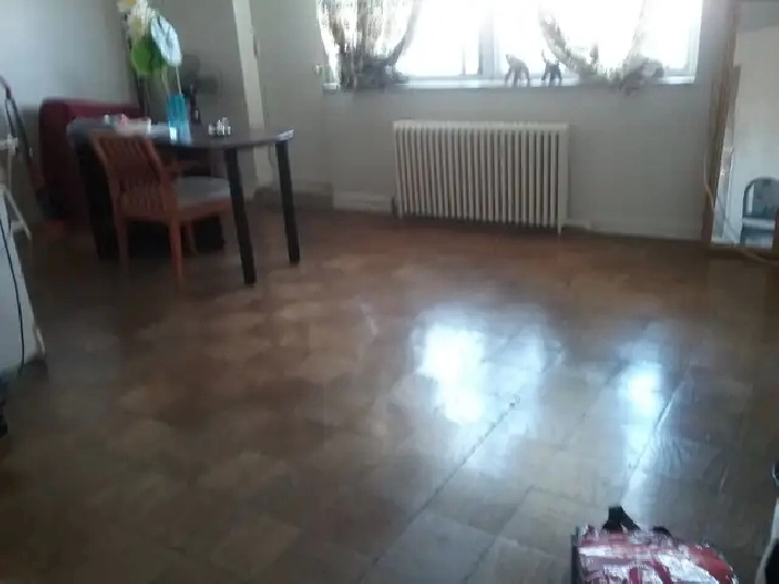 Mature Asian Roommate Needed