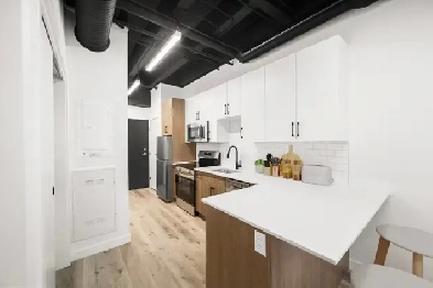 LUXURY 1 Bedroom Apartment! Move In Ready!