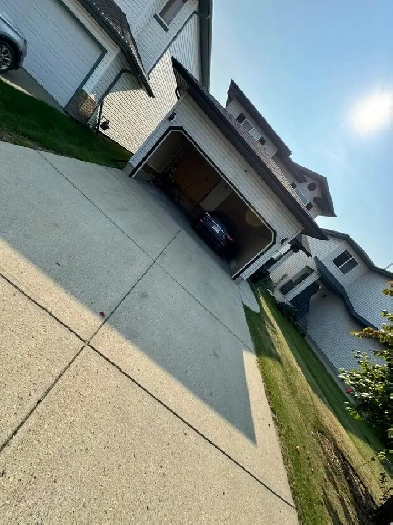 1 Newly Basement house for rent or One Room for Rent