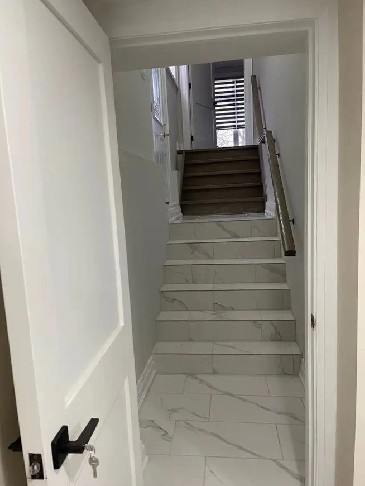 1 Bead room Beasment For rent