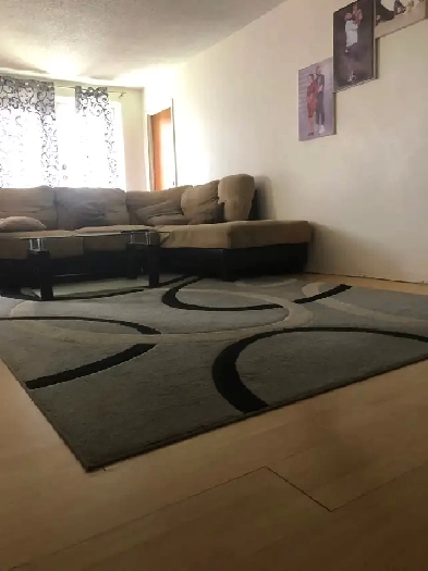 $550 room for rent near 8th st centre Mall